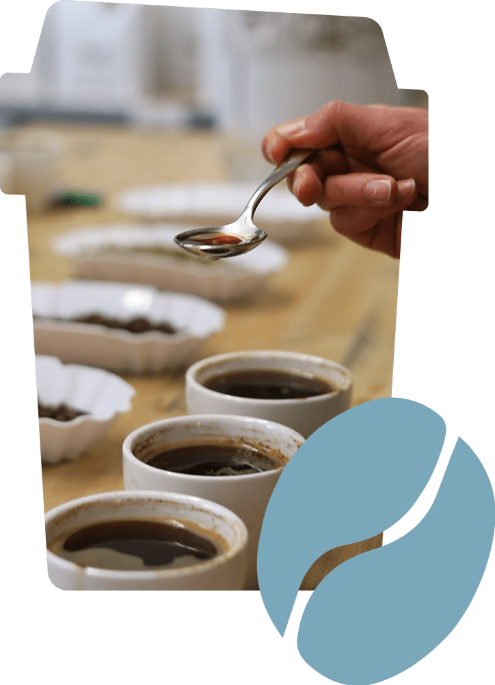 SOCOCO - Koffie cuppen workshop koffie proeven